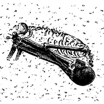 Abri de Raymonden I à Chancelade