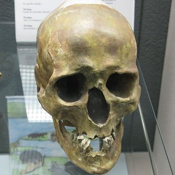 Abri de Raymonden I à Chancelade