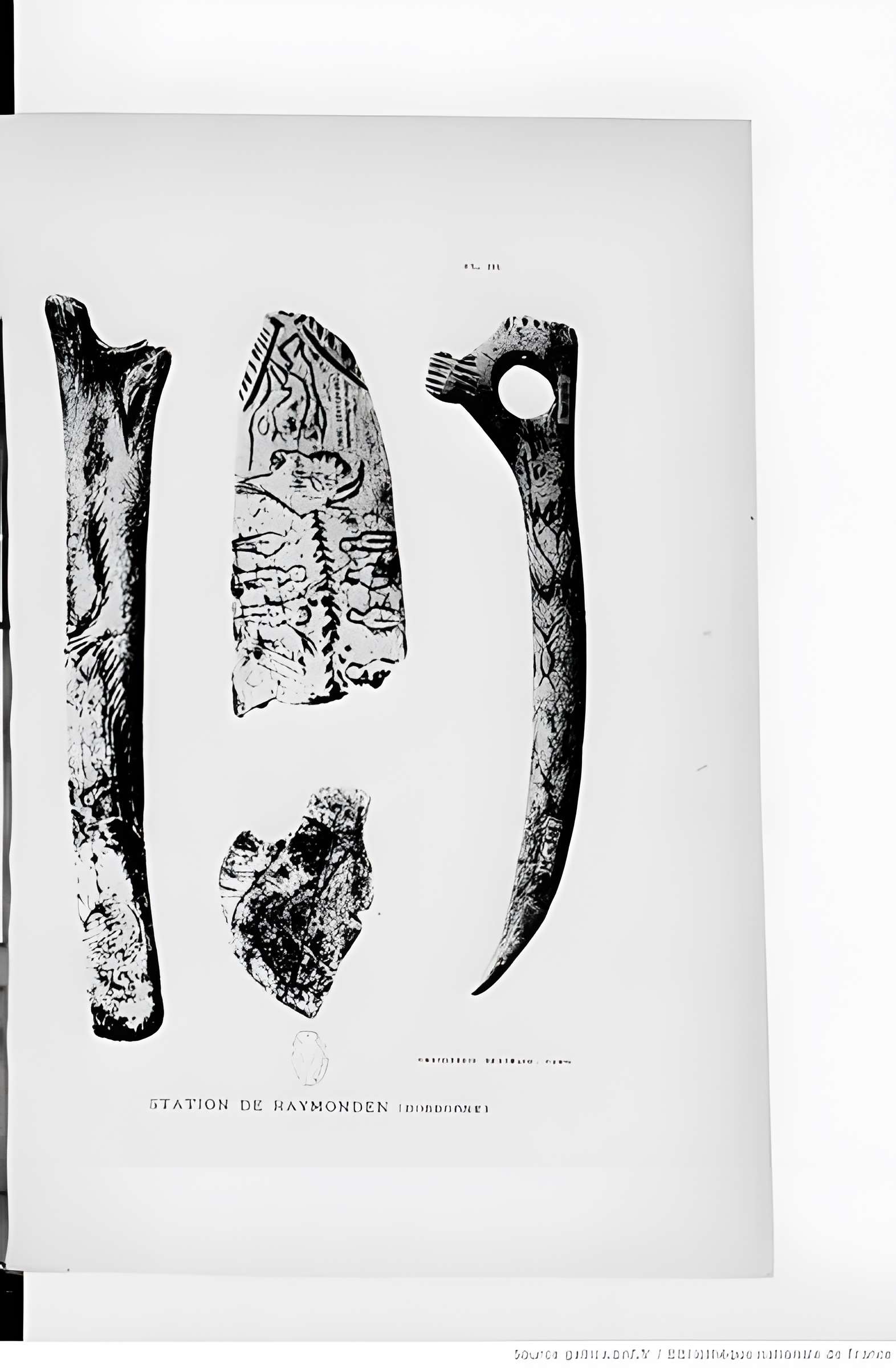 Abri de Raymonden I à Chancelade