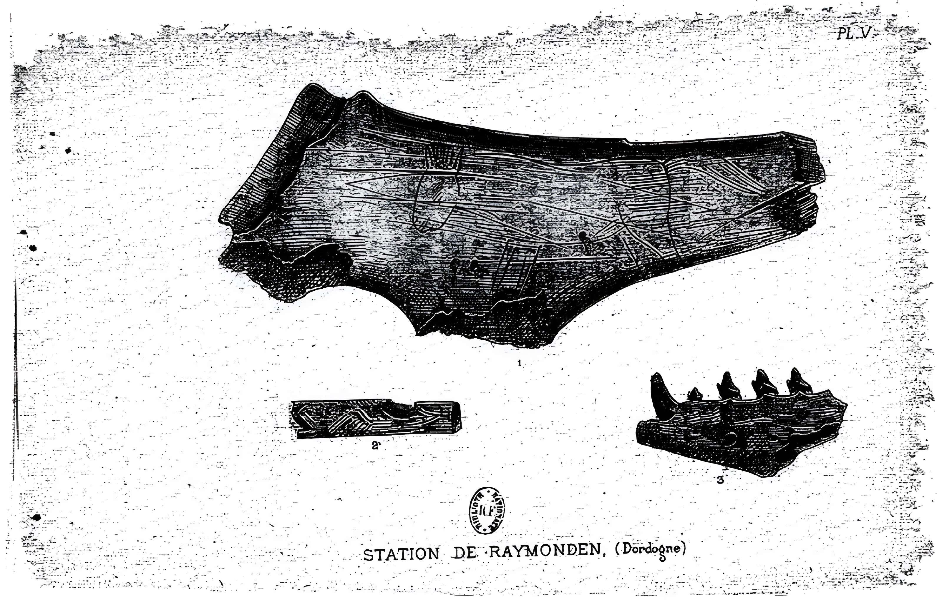 Abri de Raymonden I à Chancelade