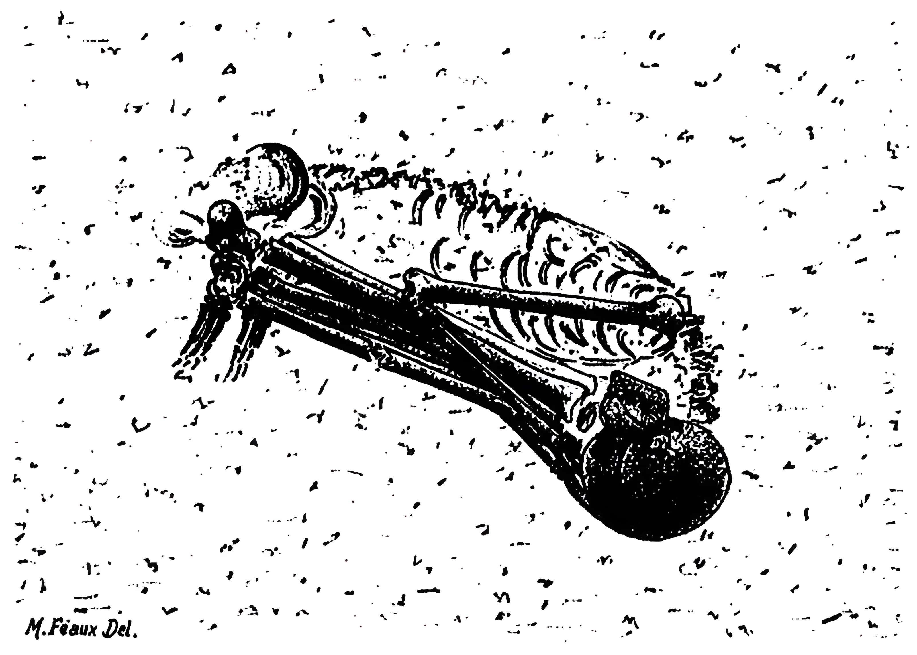 Abri de Raymonden I à Chancelade