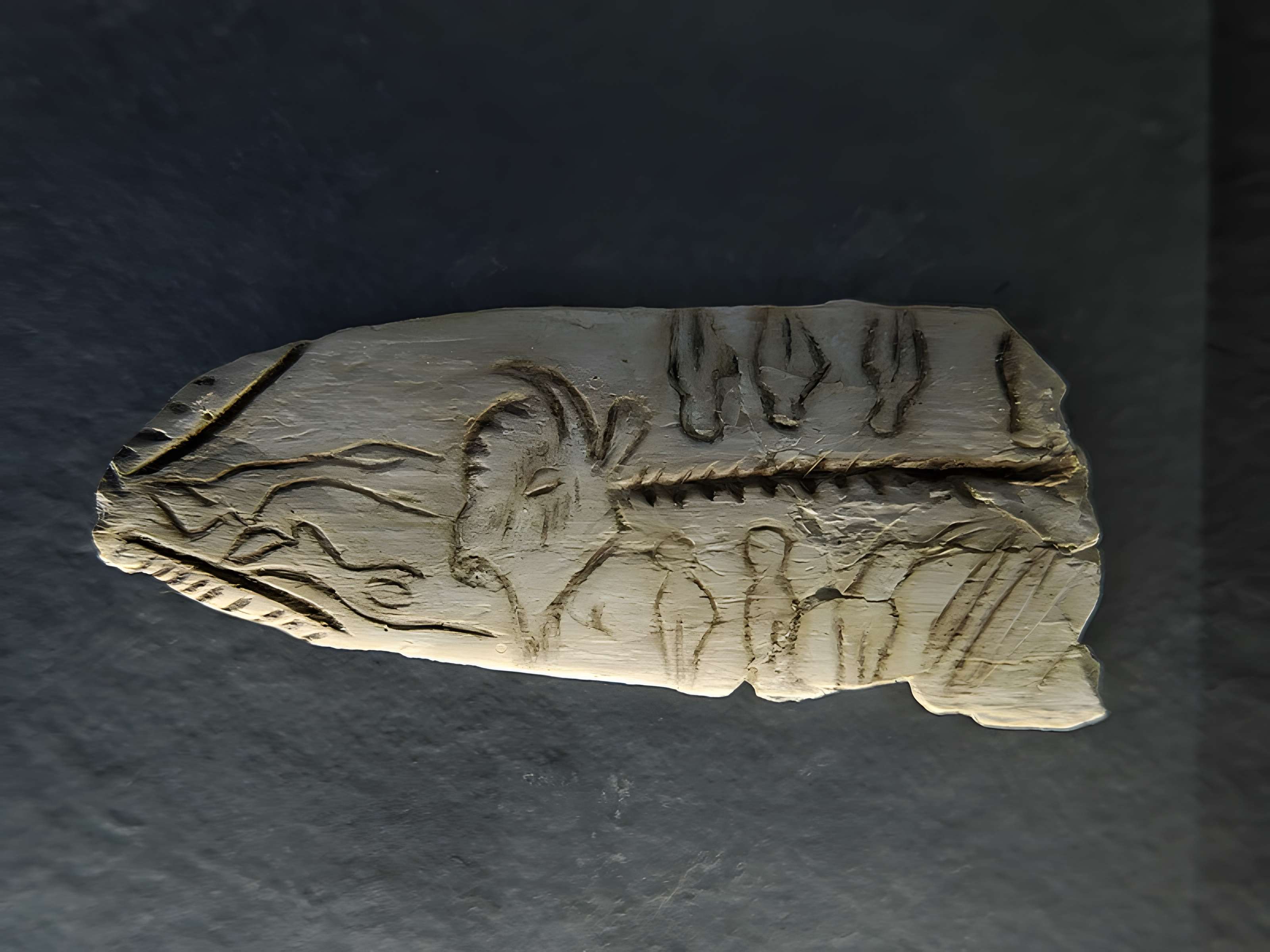 Abri de Raymonden I à Chancelade