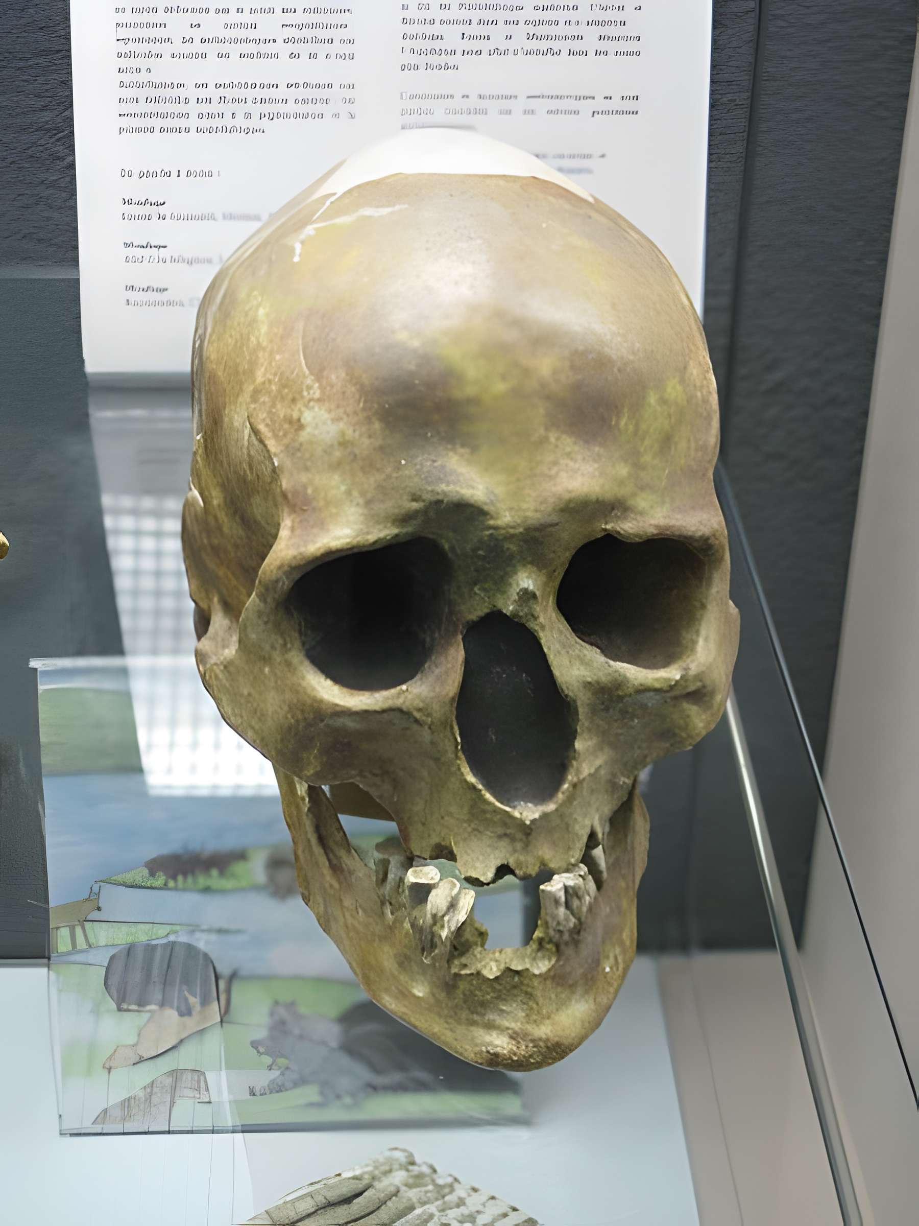 Abri de Raymonden I à Chancelade