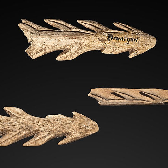 Photo de Abris sous roche du château de Bruniquel