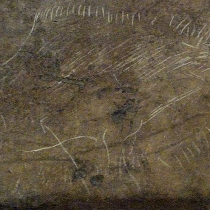 Photo de Abris sous roche du château de Bruniquel