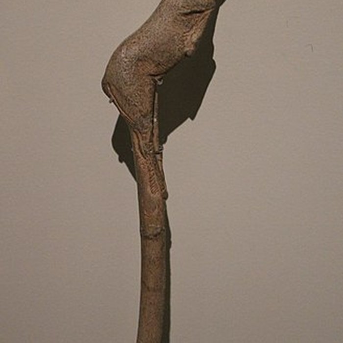 Photo de Abris sous roche du château de Bruniquel