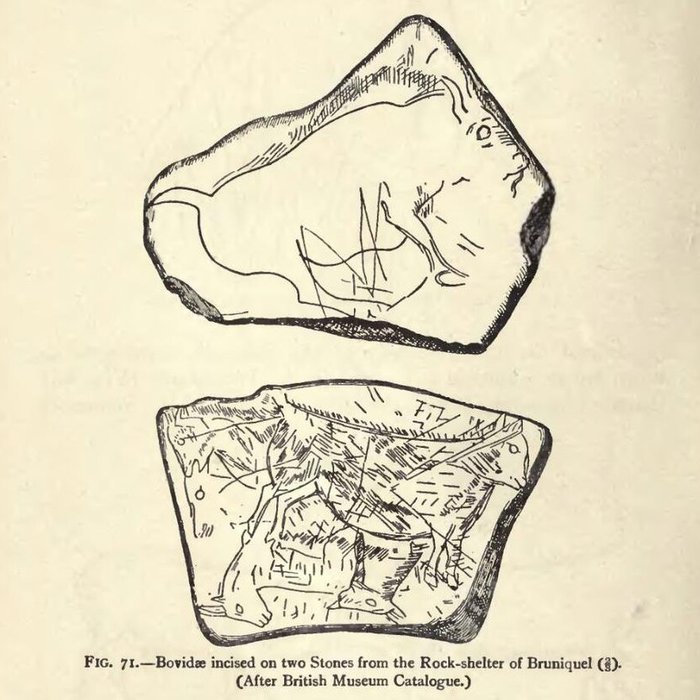 Photo de Abris sous roche du château de Bruniquel