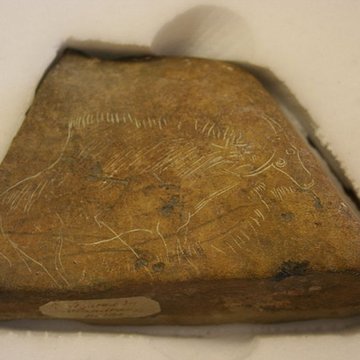 Abris sous roche du château de Bruniquel