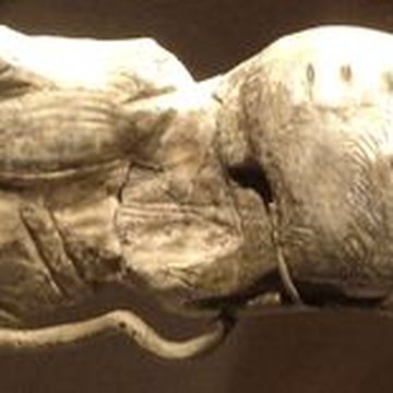 Abris sous roche du château de Bruniquel