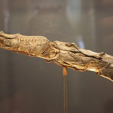 Abris sous roche du château de Bruniquel