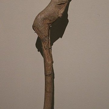 Abris sous roche du château de Bruniquel