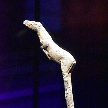 Abris sous roche du château de Bruniquel