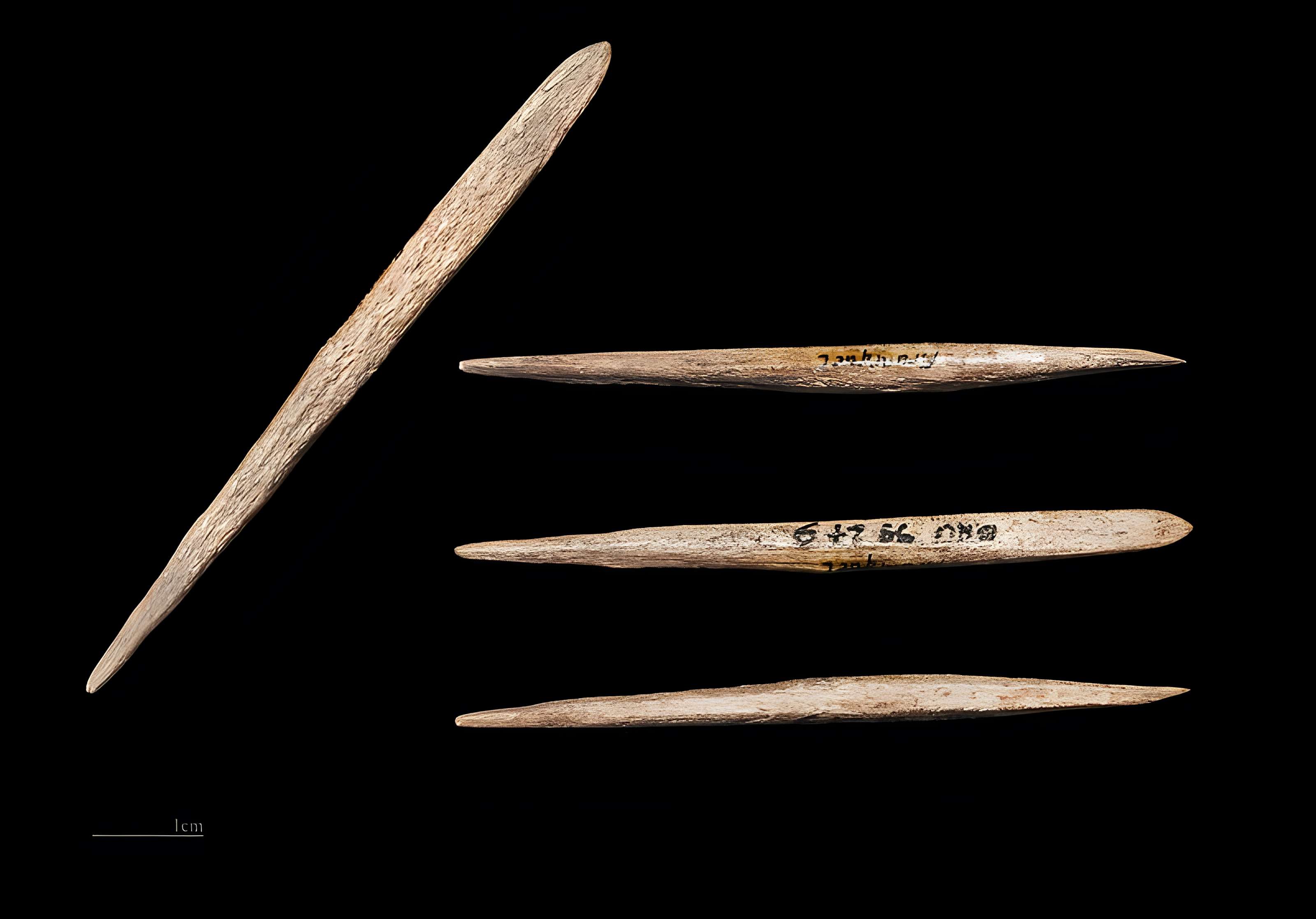 Abris sous roche du château de Bruniquel 