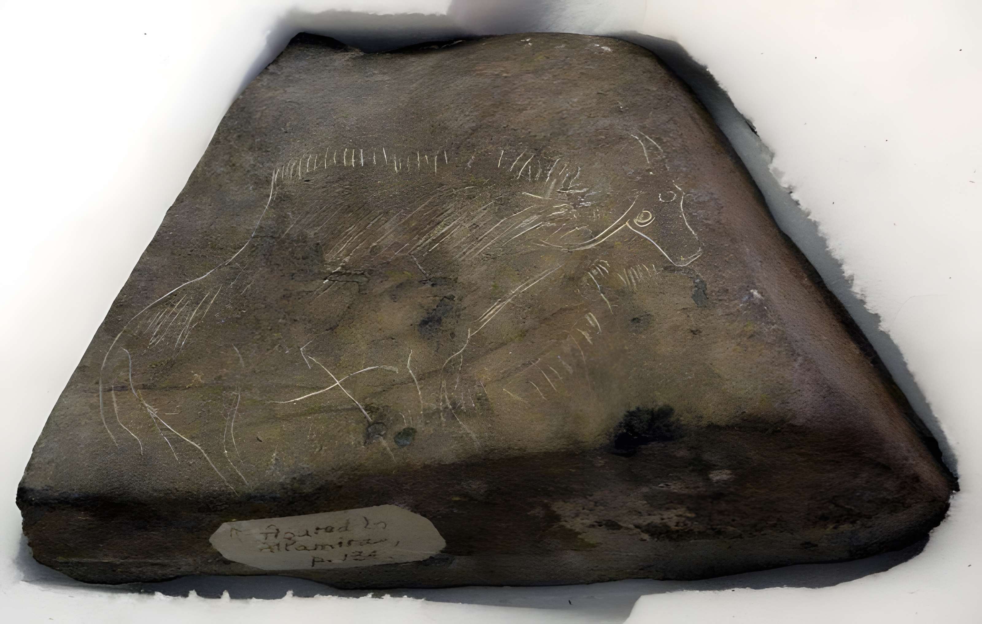 Abris sous roche du château de Bruniquel