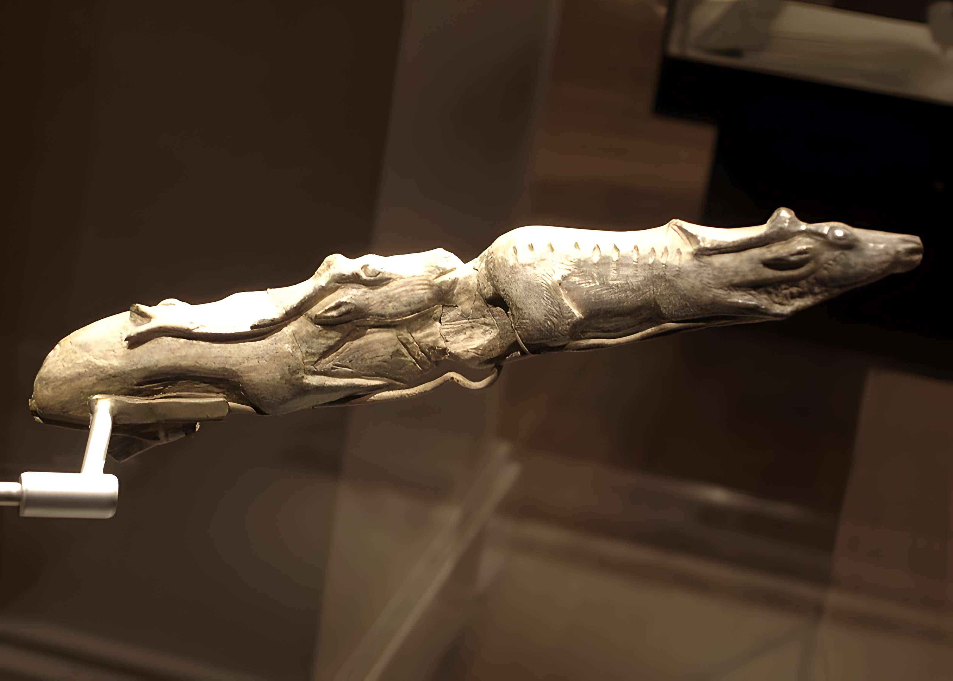 Abris sous roche du château de Bruniquel