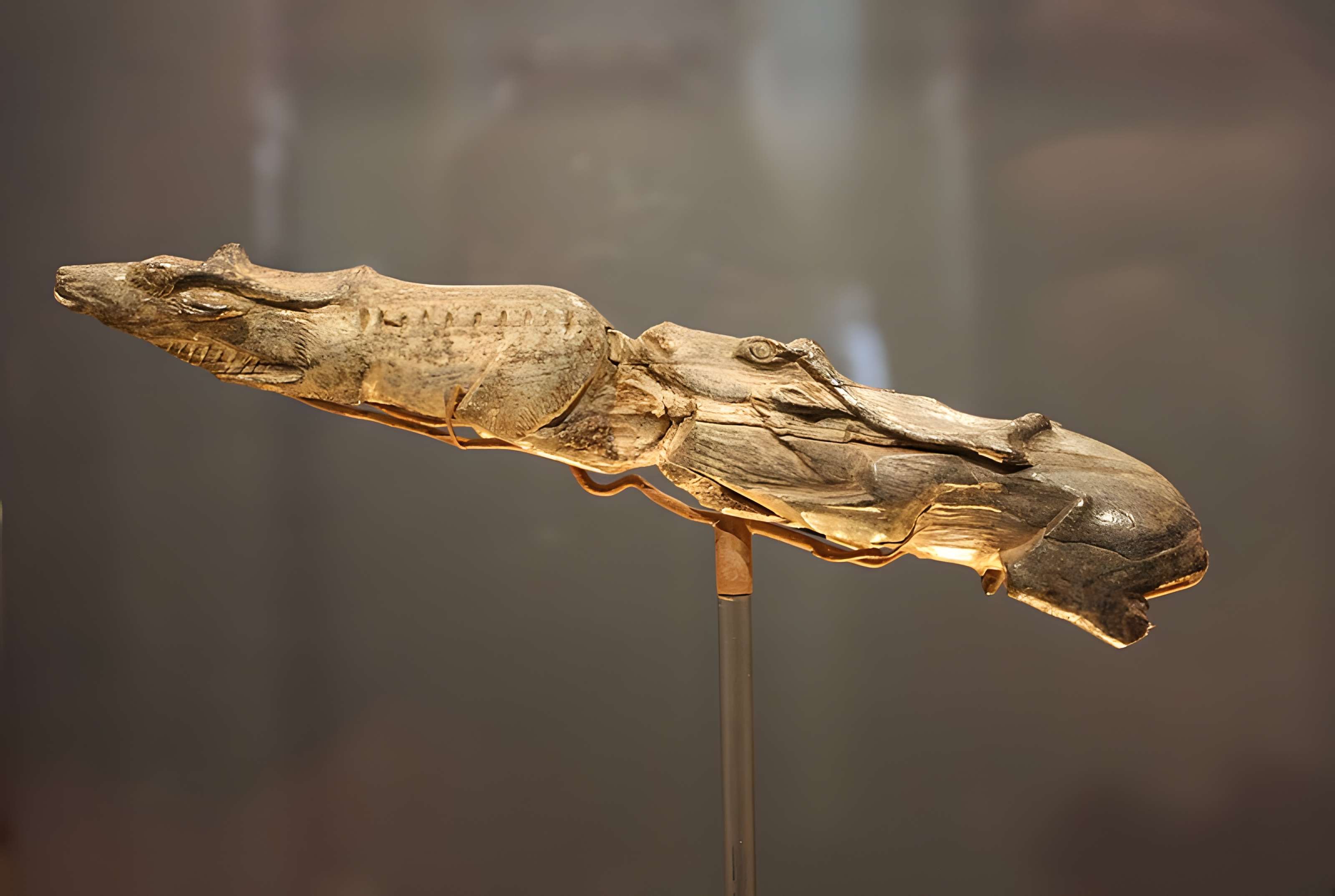 Abris sous roche du château de Bruniquel