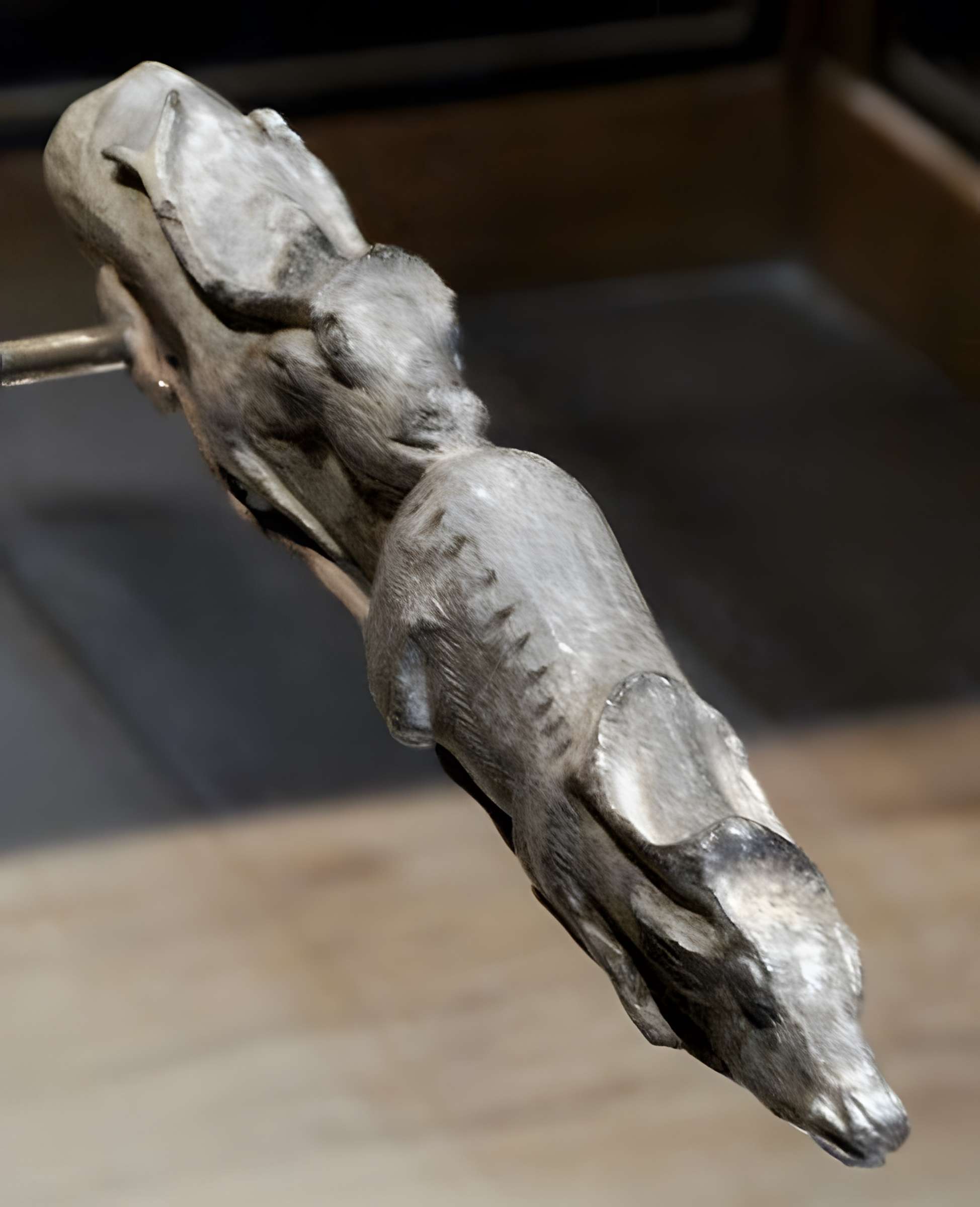 Abris sous roche du château de Bruniquel