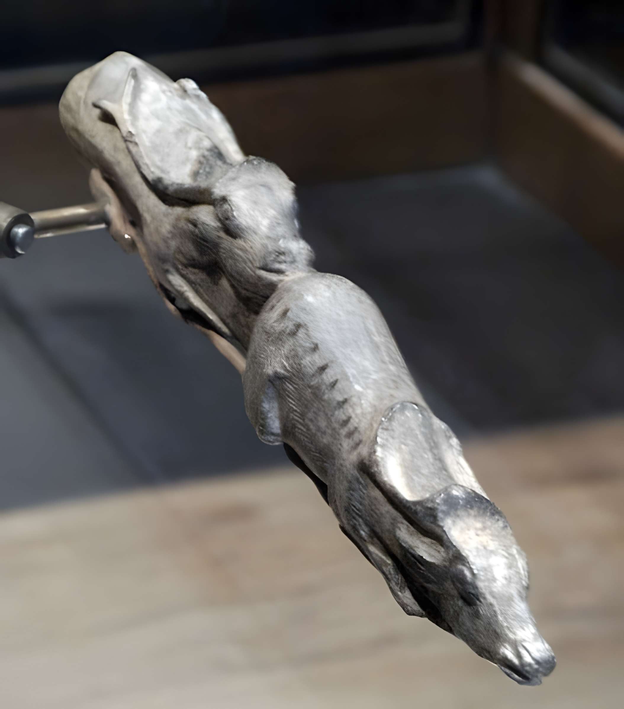 Abris sous roche du château de Bruniquel