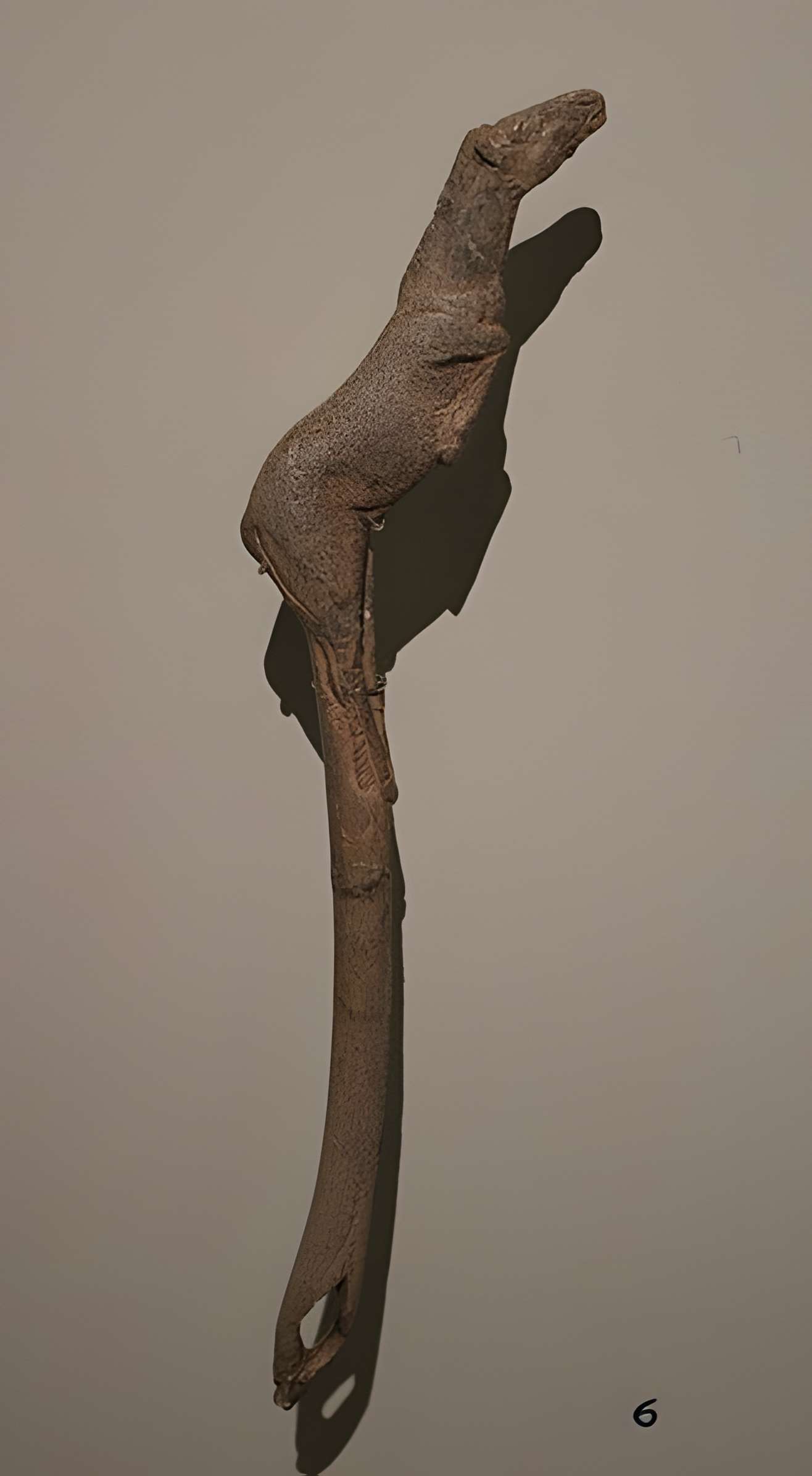 Abris sous roche du château de Bruniquel