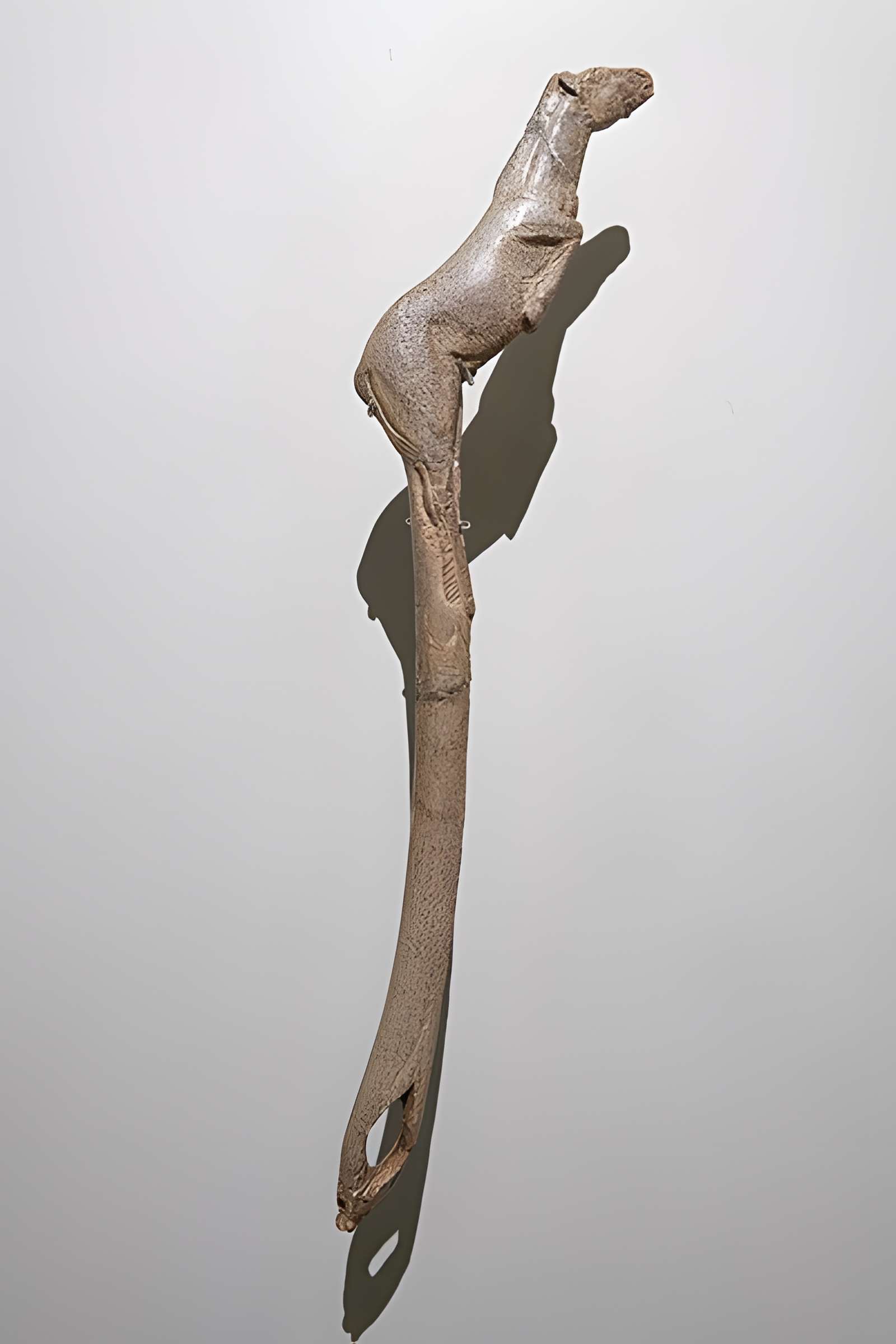 Abris sous roche du château de Bruniquel