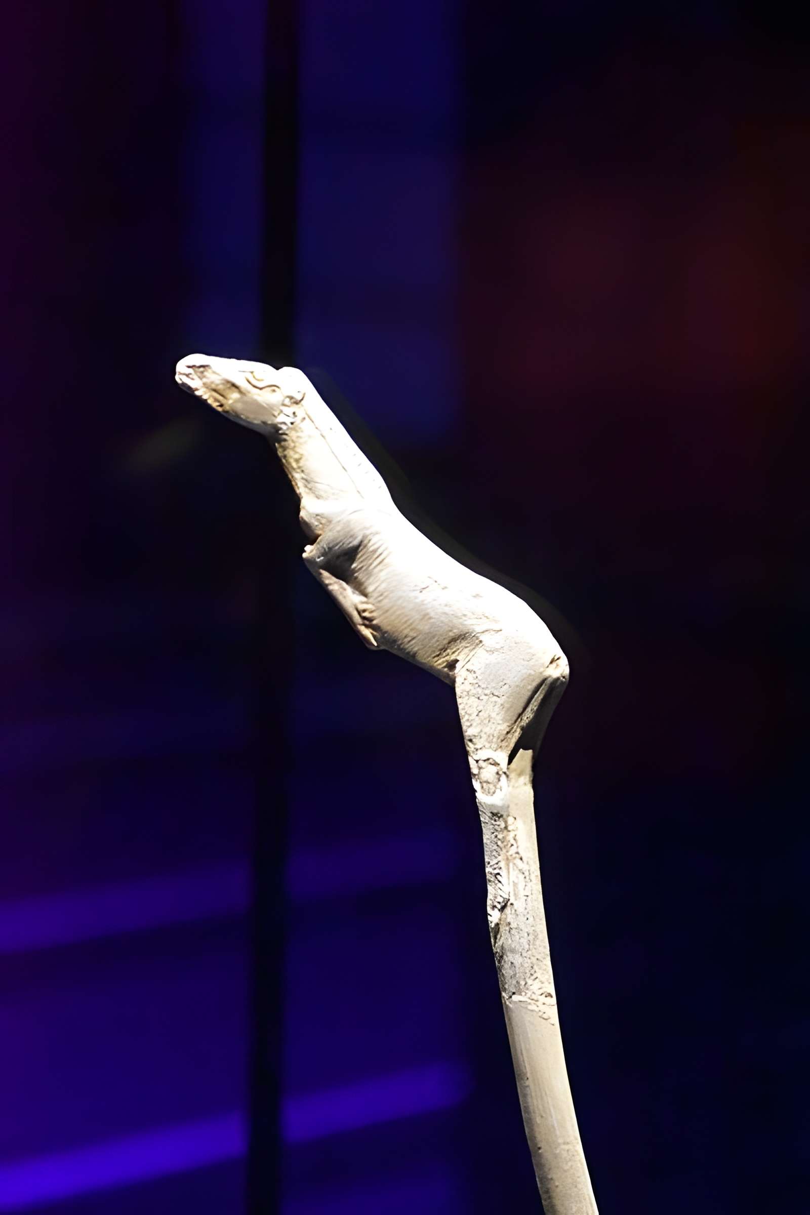 Abris sous roche du château de Bruniquel