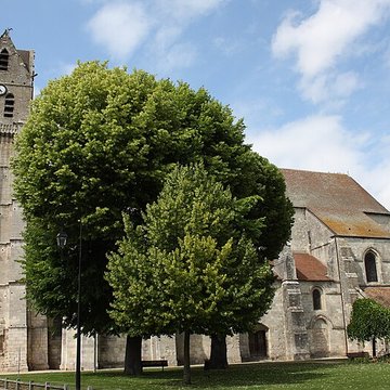 Collégiale Saint-Martin dÉtampes