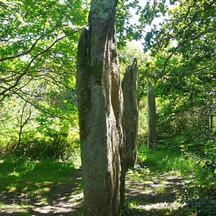 Photo de Trois menhirs de Kerfland et bande de terrain autour