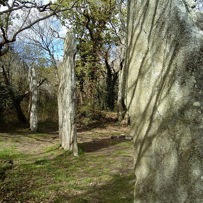 Photo de Trois menhirs de Kerfland et bande de terrain autour