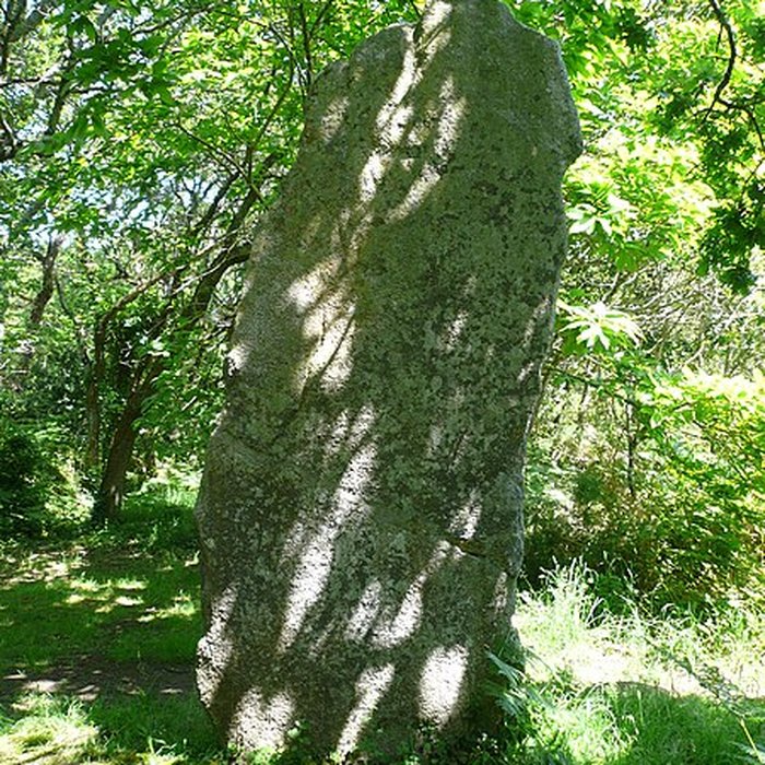 Photo de Trois menhirs de Kerfland et bande de terrain autour