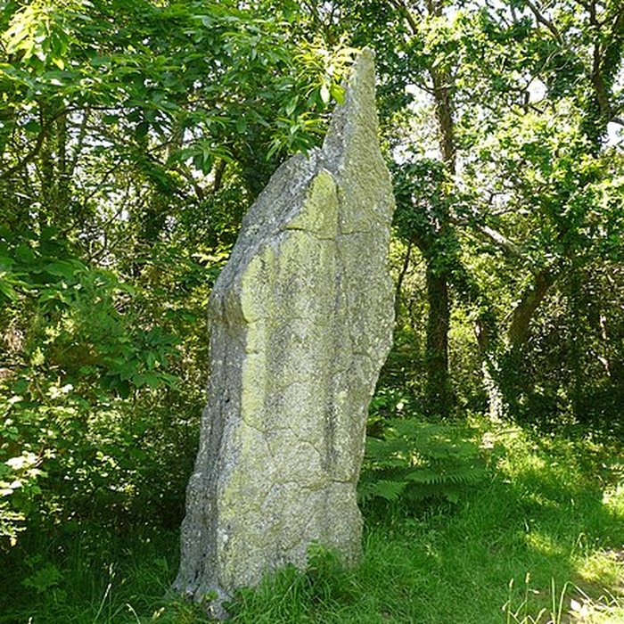 Photo de Trois menhirs de Kerfland et bande de terrain autour