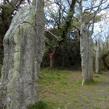 Trois menhirs de Kerfland et bande de terrain autour