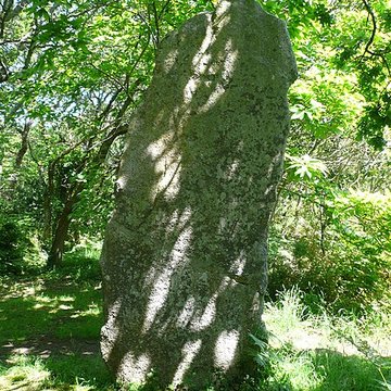 Trois menhirs de Kerfland et bande de terrain autour