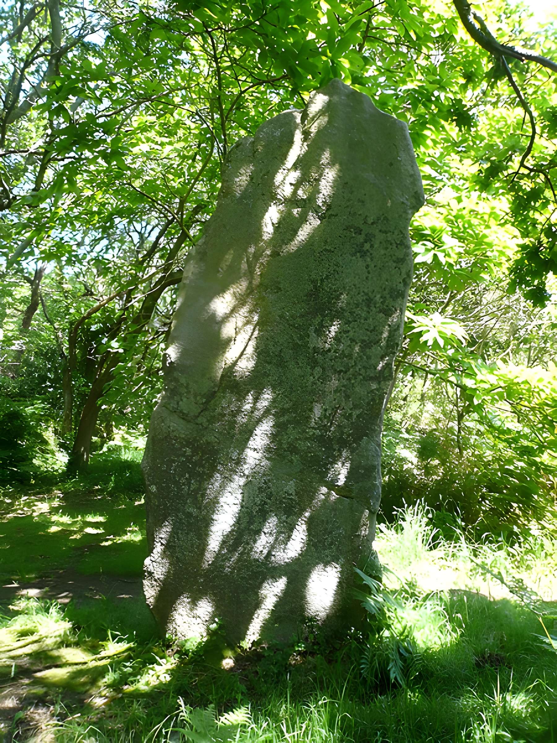 Trois menhirs de Kerfland et bande de terrain autour