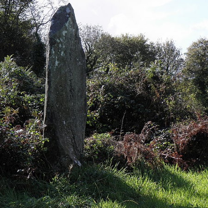 Photo de Alignement de Leïtan à Brennilis