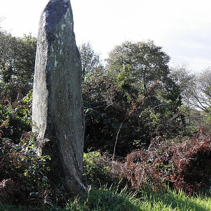 Photo de Alignement de Leïtan à Brennilis