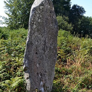 Alignement de Leïtan à Brennilis