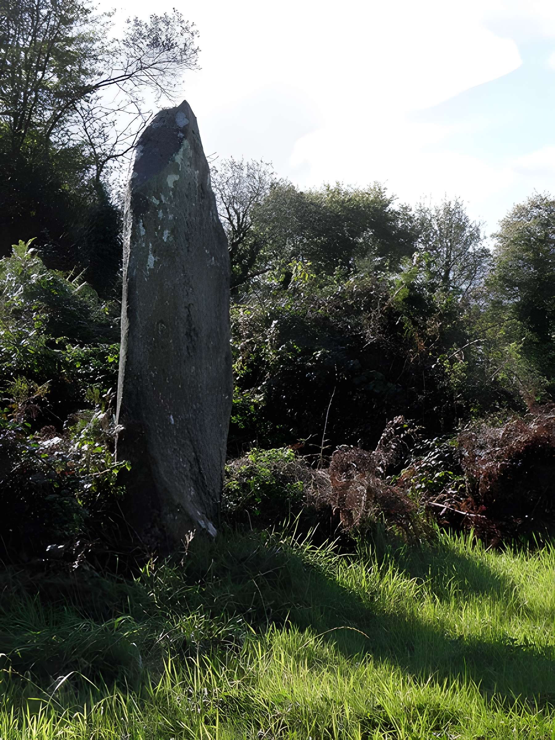 Alignement de Leïtan à Brennilis 