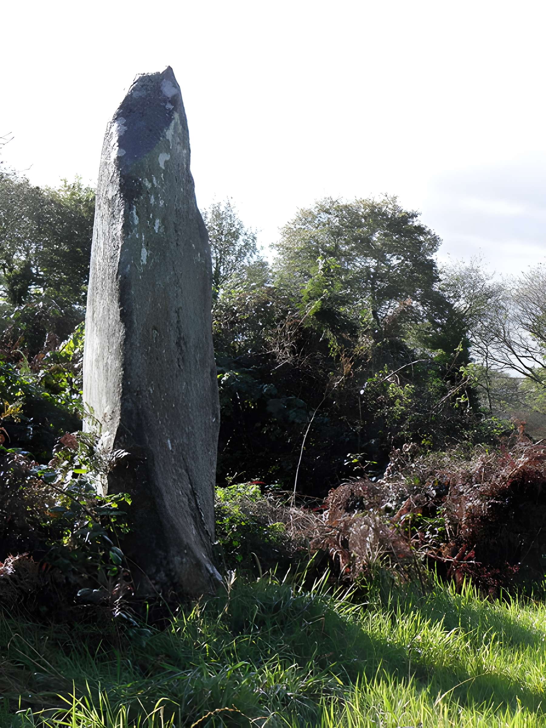 Alignement de Leïtan à Brennilis