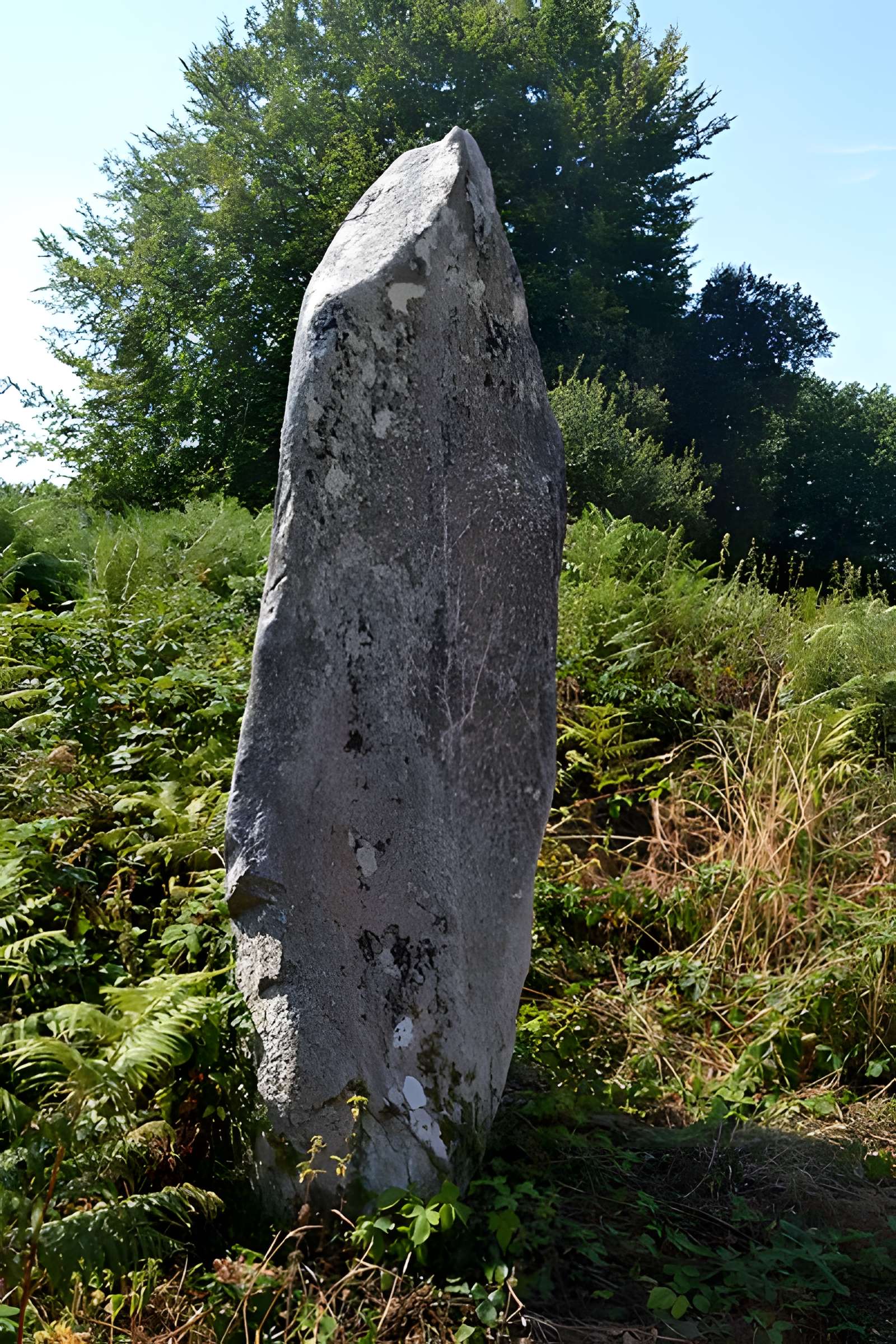 Alignement de Leïtan à Brennilis