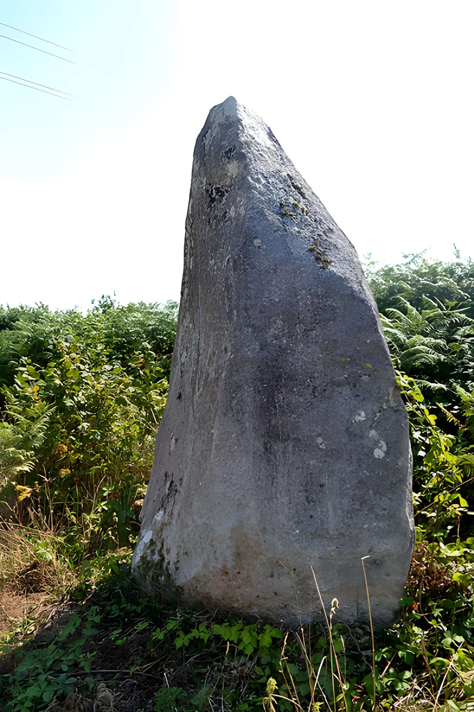 Alignement de Leïtan à Brennilis
