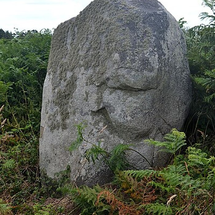 Photo de Alignement de menhirs de Poul-ar-Varquez