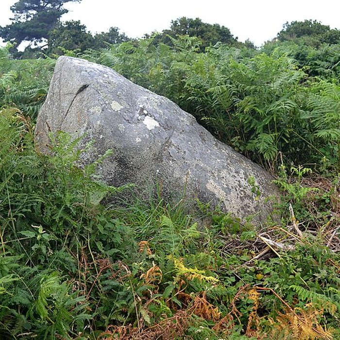 Photo de Alignement de menhirs de Poul-ar-Varquez