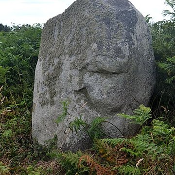 Alignement de menhirs de Poul-ar-Varquez