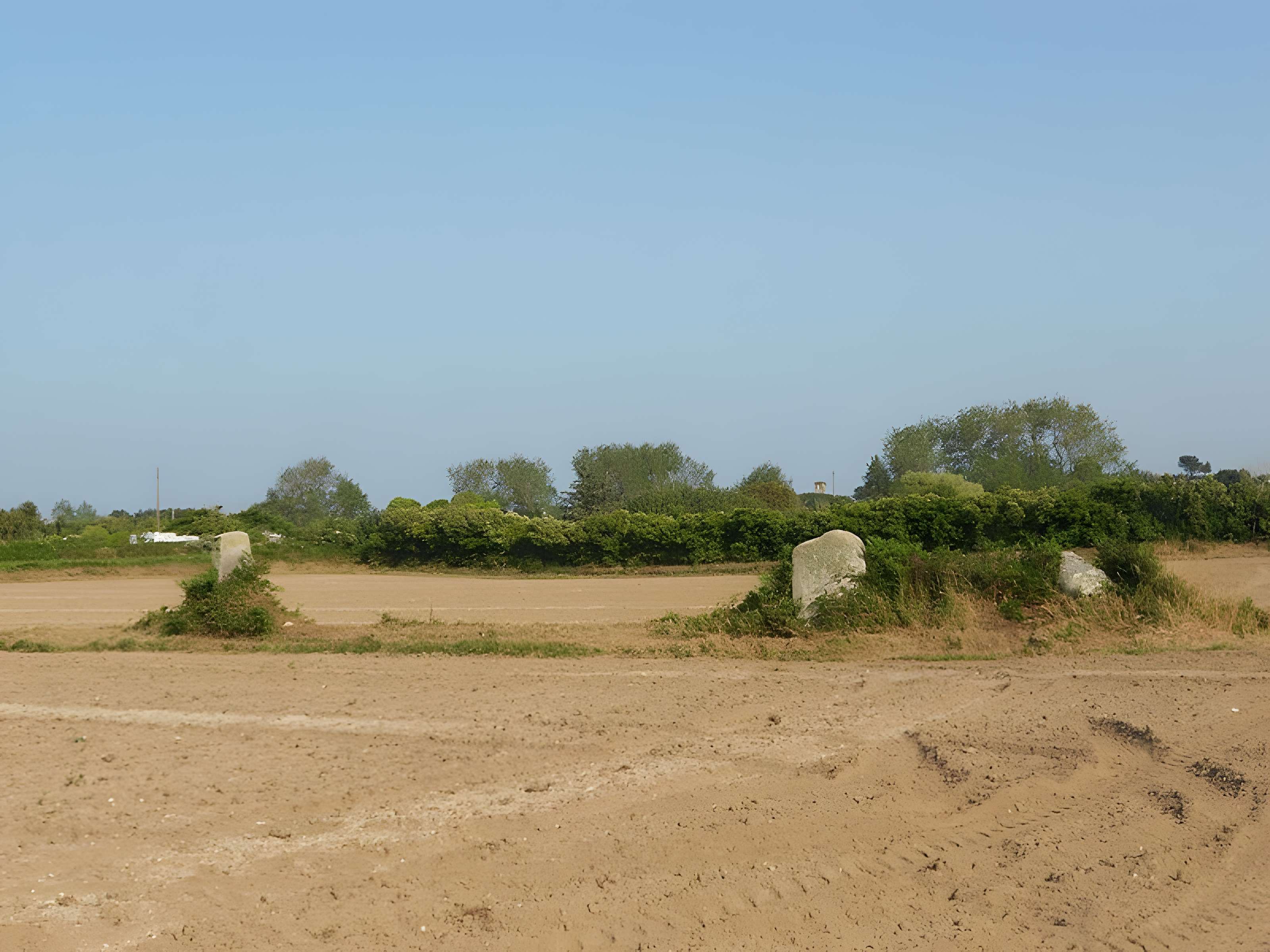 Alignement de menhirs de Poul-ar-Varquez 