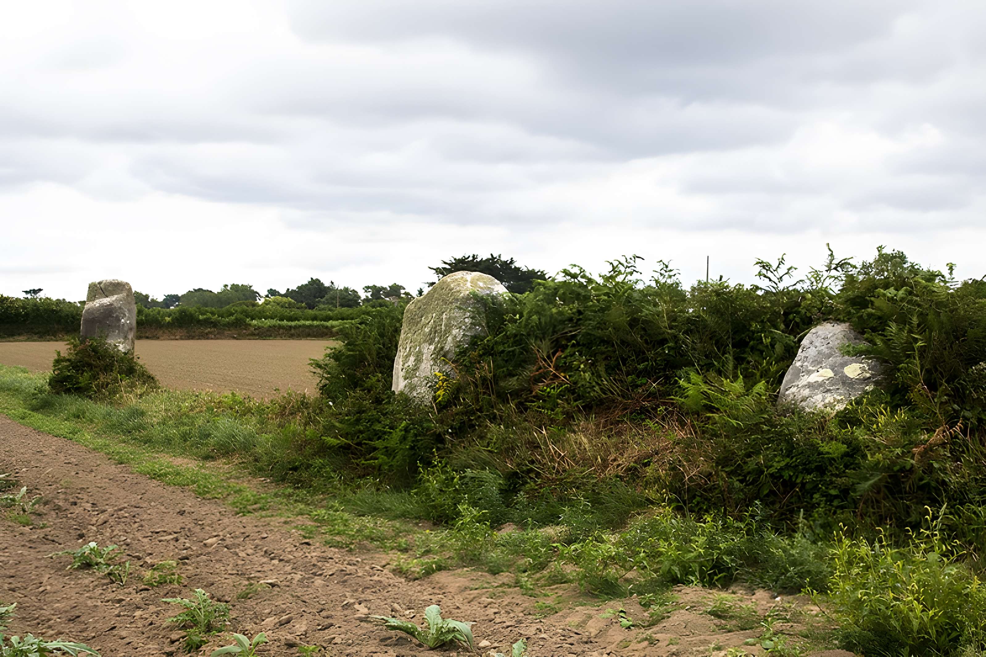 Alignement de menhirs de Poul-ar-Varquez