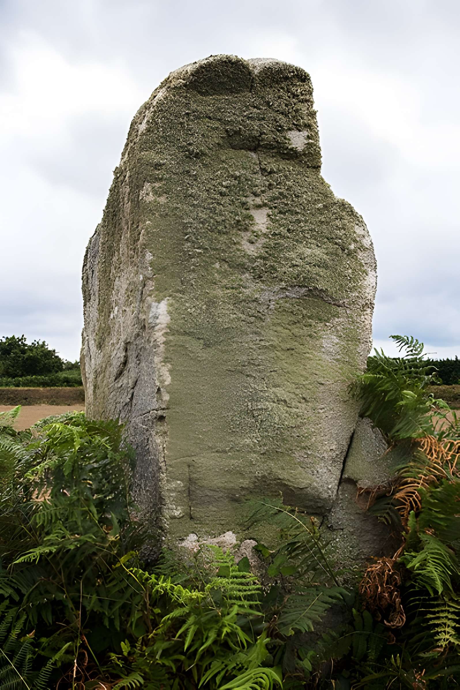 Alignement de menhirs de Poul-ar-Varquez