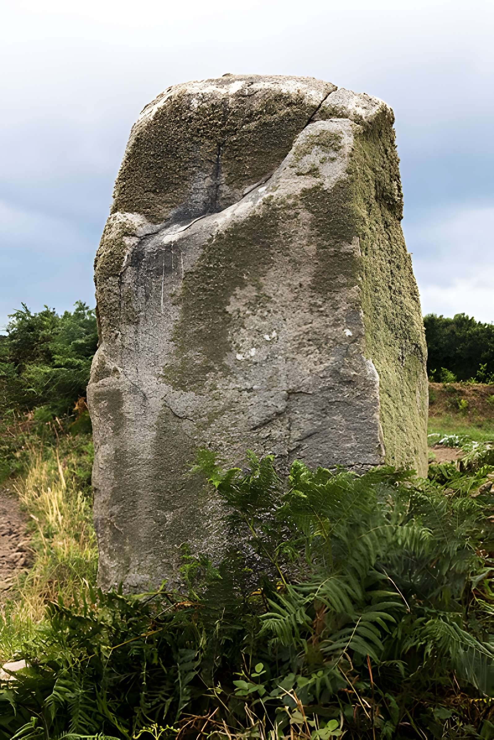 Alignement de menhirs de Poul-ar-Varquez