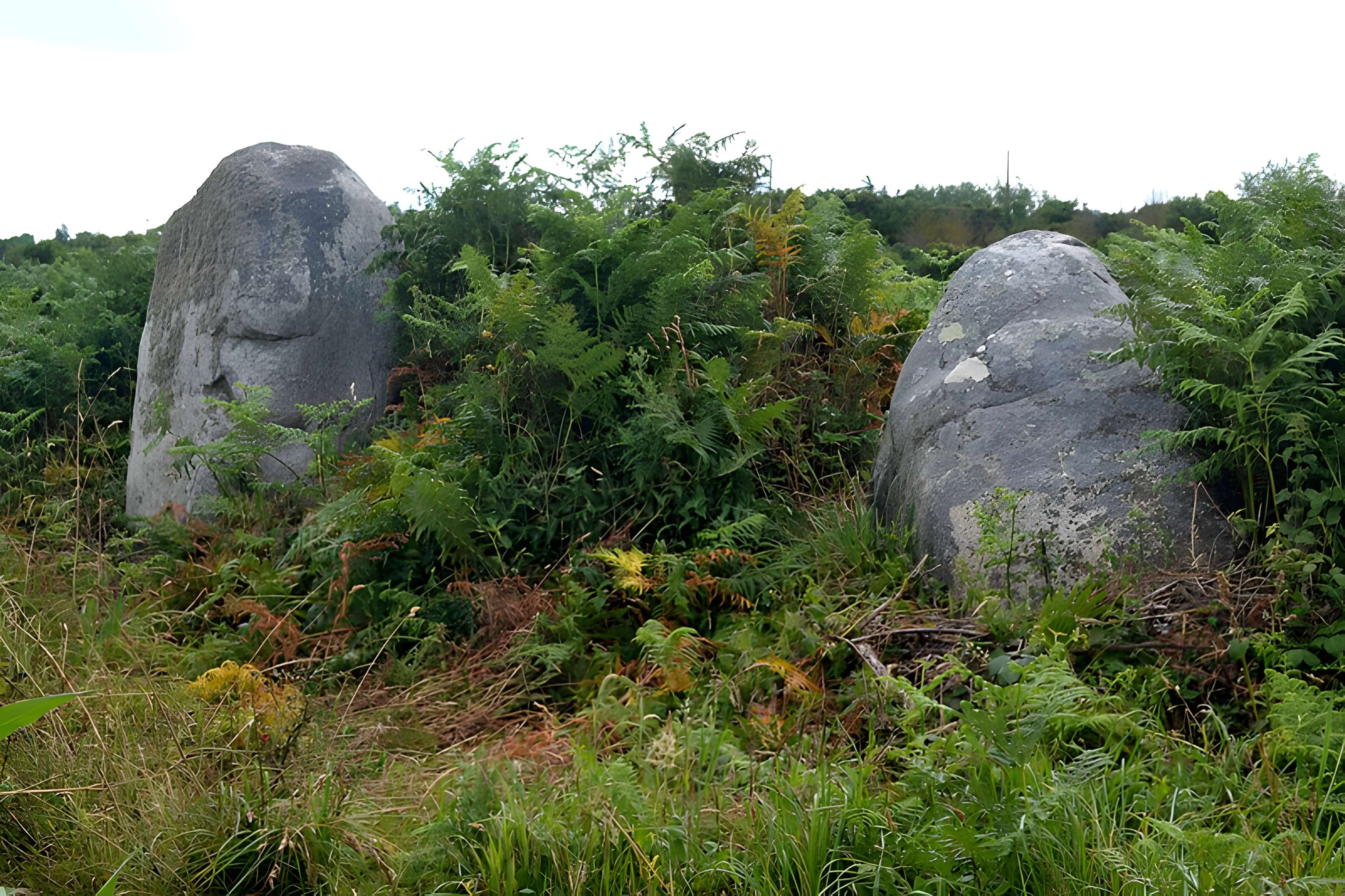 Alignement de menhirs de Poul-ar-Varquez