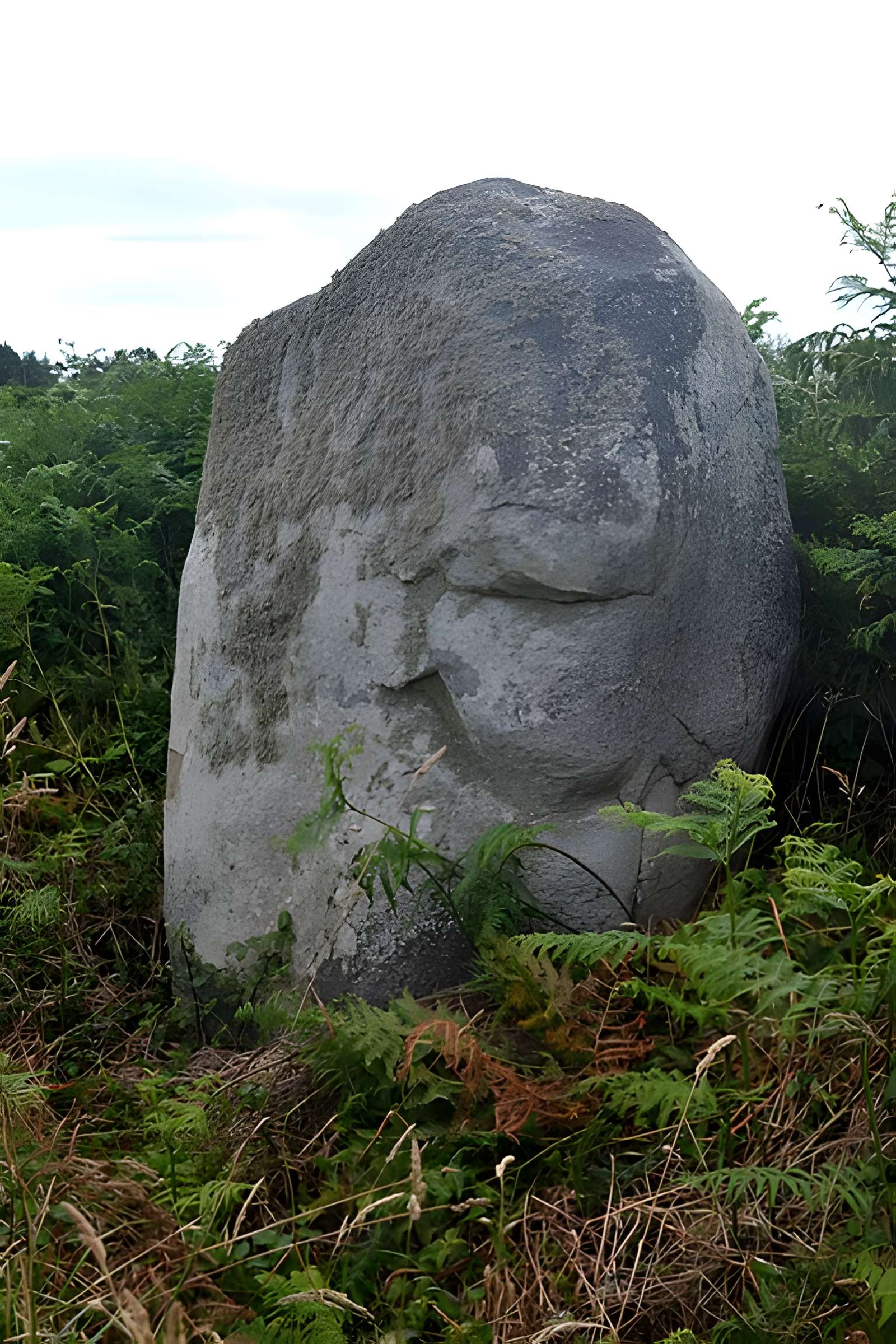 Alignement de menhirs de Poul-ar-Varquez