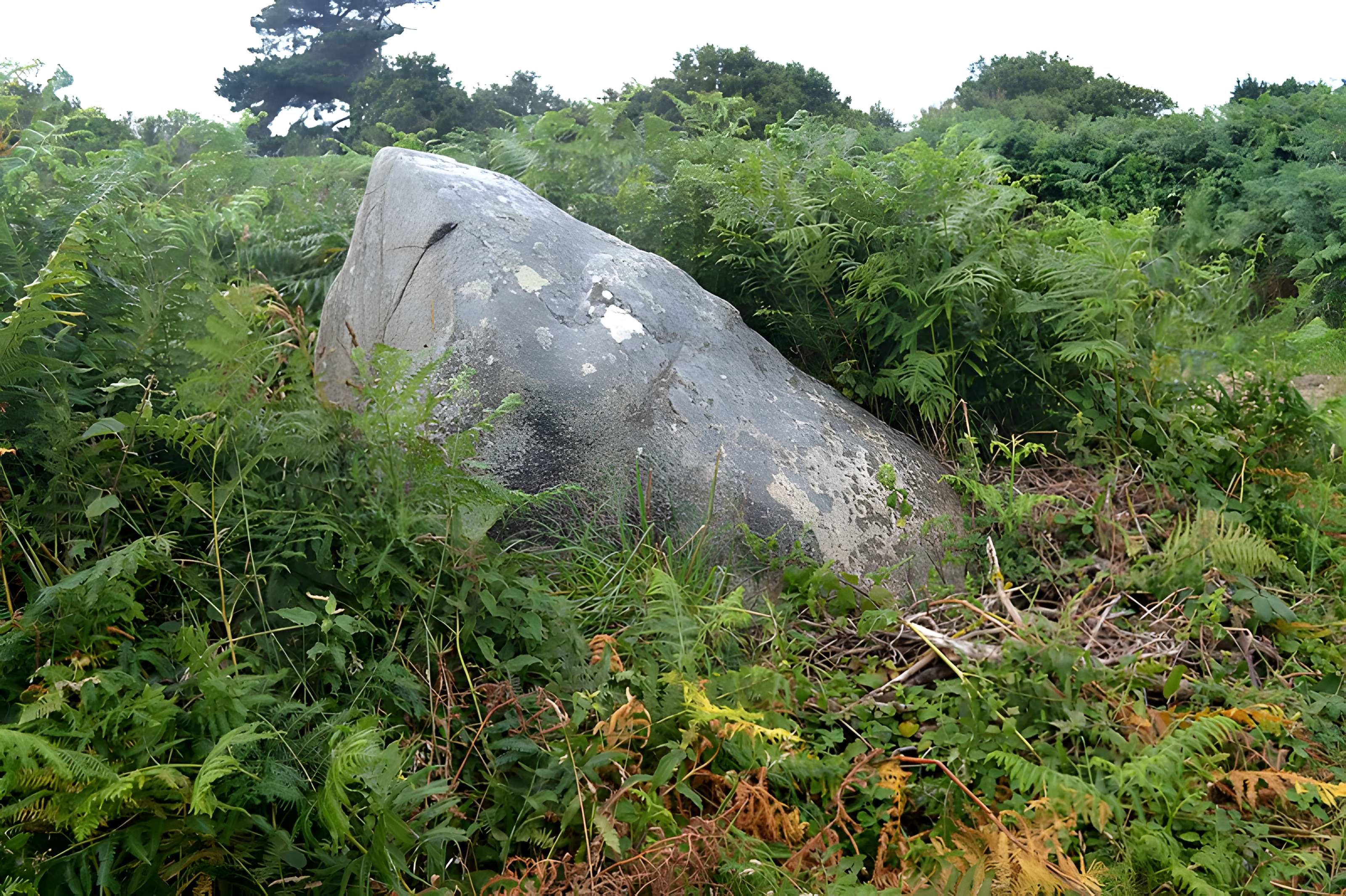 Alignement de menhirs de Poul-ar-Varquez